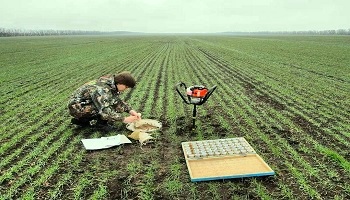 Обзор специальности: библиотекарь